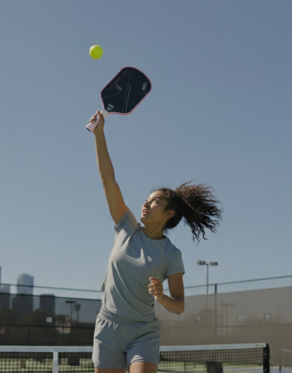 Pro Pickleball Paddle